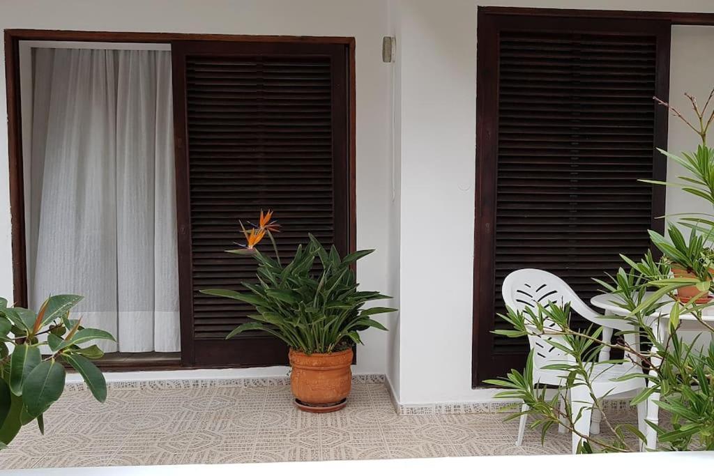 Apartamento Luminoso Con Patio Y Jardin Puerto de la Cruz  Exterior foto