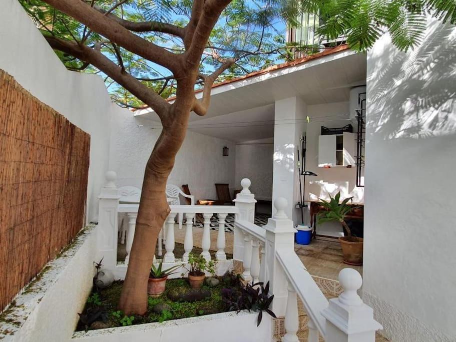 Apartamento Luminoso Con Patio Y Jardin Puerto de la Cruz  Exterior foto